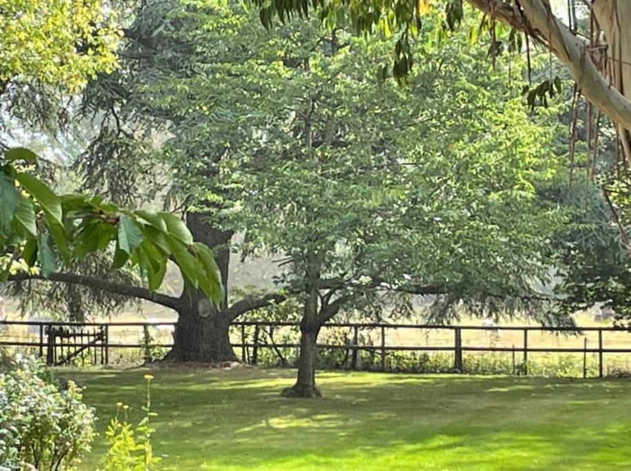 Escape To Ash House 18Th Century Manor In Somerset 马托克 外观 照片